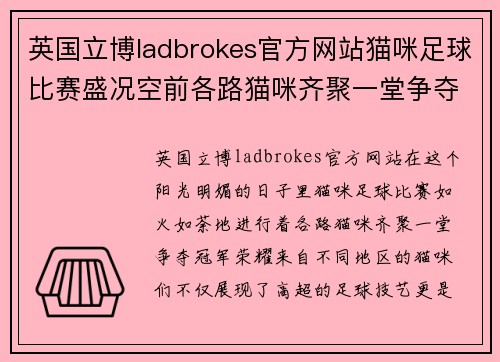 英国立博ladbrokes官方网站猫咪足球比赛盛况空前各路猫咪齐聚一堂争夺冠军荣耀